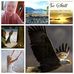 Marie Schutte - Facebook