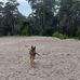 Marieke Schutte - Facebook