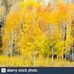 Marie Wright Scribner - Facebook