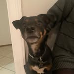 Marie Seifert - @marieseifert16 - Instagram