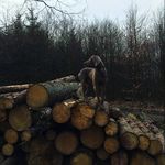 Marie Seifert - @artus301204 - Instagram