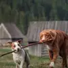 marieseifert160 - @marieseifert160 - TikTok