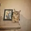 Marie Sergi442 - @mariesuperstar8282 - TikTok
