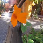 Marie Sessions - @marie.sessions.73 - Instagram