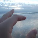 Marie Shanks - @maries_photographs - Instagram
