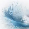 Marie Shell506 - @marieshell2 - TikTok