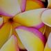 Marie Shepard - Facebook