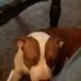 Marie Shepard - Facebook