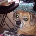 Marie Shepard - @marieshepard78 - Instagram
