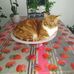 Anne Marie Simoni - Facebook