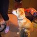 Marie Sisson - Facebook
