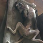 Marie Slagle - @coci_re - Instagram