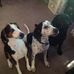 Marie Slagle - Facebook