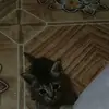 marieslatermckinn - @marieslatermckinn - TikTok