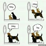 123 ist vorbei - @marie_soller666 - Instagram