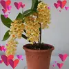 mariesolon0 - @mariesolon0 - TikTok