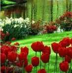 Maria Stanescu - Facebook