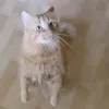 Marie Steiner - @mariesteiner06 - TikTok