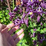 Marie Stoves - @mariestoves.9 - Instagram