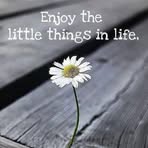Marie Strait - Facebook