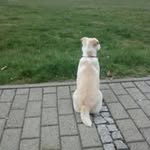 Liesa-Marie Strobel - @debri_kind_2018 - Instagram
