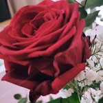 Marie strobel🥰 - @mariechenstr - Instagram