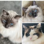 Tina Marie Sully - @rosyposy_tikimay_stella - Instagram