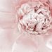 Marie Sumner Design - Facebook