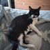 Marie Tardy - Facebook
