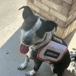 Millie Marie Thatcher - @puponduty - Instagram