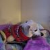 Marie Thibodeau - Facebook