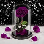 Marie Thrower - Facebook