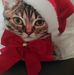 Marie Toland - Facebook