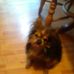 Marie Tracey - Facebook