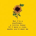 Anne Marie Trainor - @annesunflower_5 - Instagram