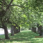Marie Trainor - @marietrainor - Instagram