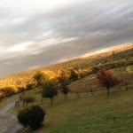 Marie Trainor - @missyou59274 - Instagram