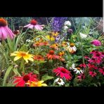 marie tunstall - Facebook