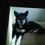 Tina Marie Underhill - @tysontaz1 - Instagram