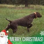 Marie Hubert Utterback - @hubertutterback - Instagram