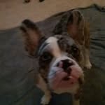 marley Marie vanblarcom - @vanblarcom.marley - Instagram