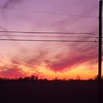 Marie Nardone Van Meter - @marievanmeter - Instagram
