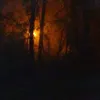 Jeanie Marie Varner-Mata - @2169485789 - TikTok