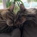 Marie Cecile Vautrin - Facebook