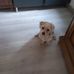 Marie Vautrin - Facebook