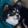 mariemasciovecchio - @mariemasciovecchio - TikTok