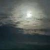 Vera.marie - @vera.marie223 - TikTok
