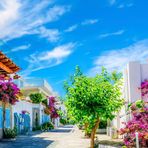 Marie Verde - Facebook