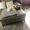 Marie Viard - @marie.viard - TikTok