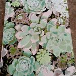 Ann-marie Vickers - @annmarie.vickers.58 - Instagram
